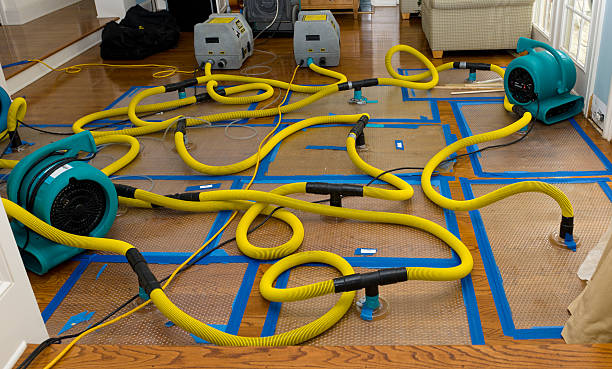 Professional Water Damage Restoration technician working in Gurley, AL